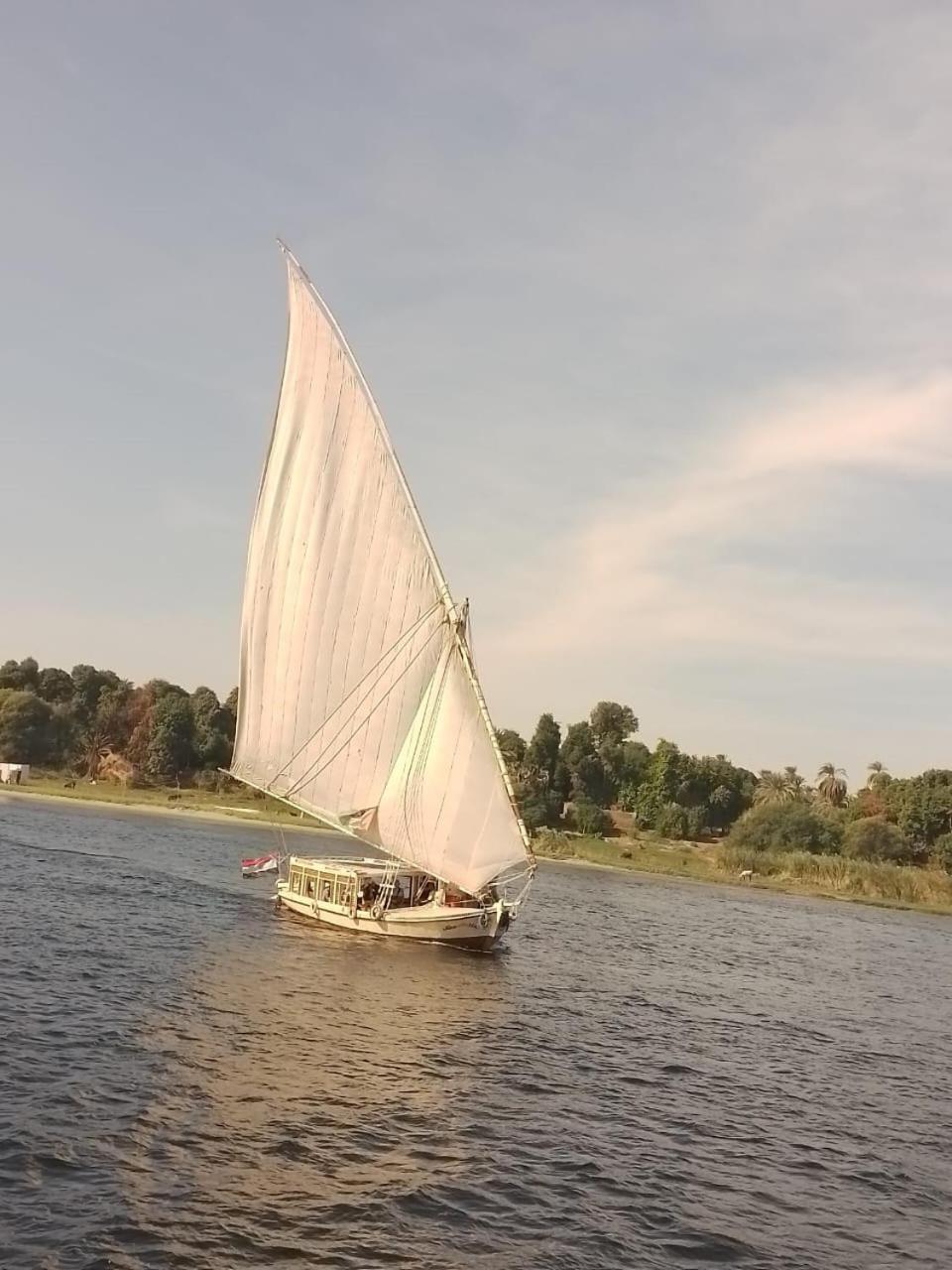 Nile Felucca Adventure Hotell Aswan Eksteriør bilde