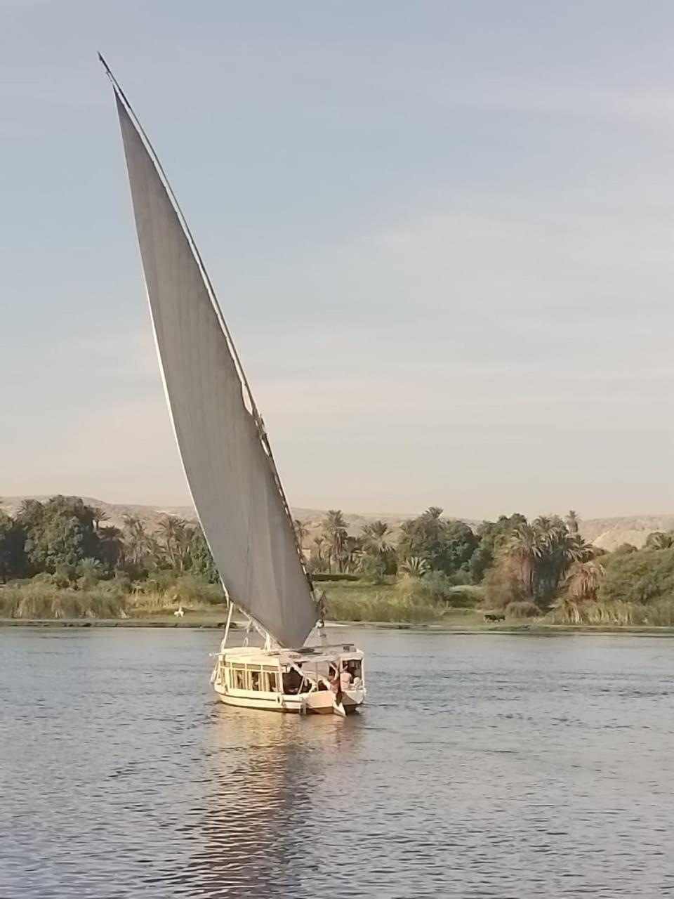 Nile Felucca Adventure Hotell Aswan Eksteriør bilde
